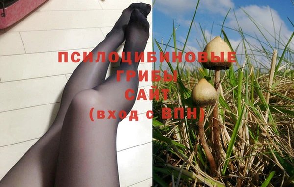 COCAINE Гусев