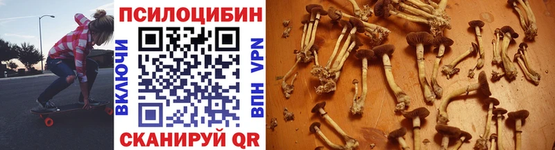 Галлюциногенные грибы Psilocybe  blacksprut как войти  Москва 